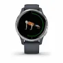 Смарт-часы с GPS Garmin VENU синий гранит с серебристым безелем - Фото 5