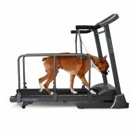 Компактная беговая дорожка Oxygen LAGUNA II DOGGIE EDITION