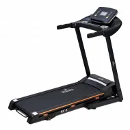 Беговые дорожки для дома Royal Fitness RF-6