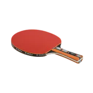 KRAFLA Champ 5.0 Ракетка для н/т