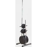 Подставка для стандартных дисков и грифов--Body Solid GSWT
